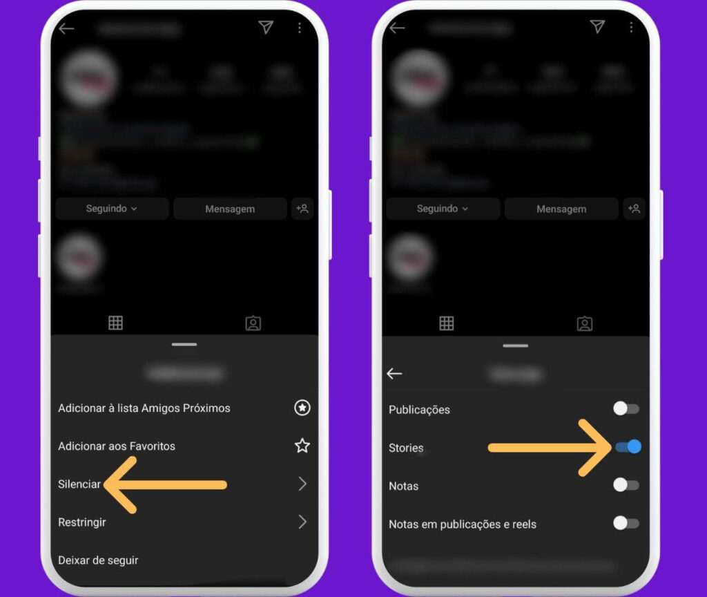 Tela do Instagram mostrando a opção de silenciar stories e publicações de um perfil.
Como silenciar stories